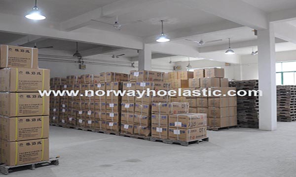 Company Profile | Elastic Thread, Rubber Elastic String, Binding Elastic Thread Manufacturer | Norwayho Elastic Thread